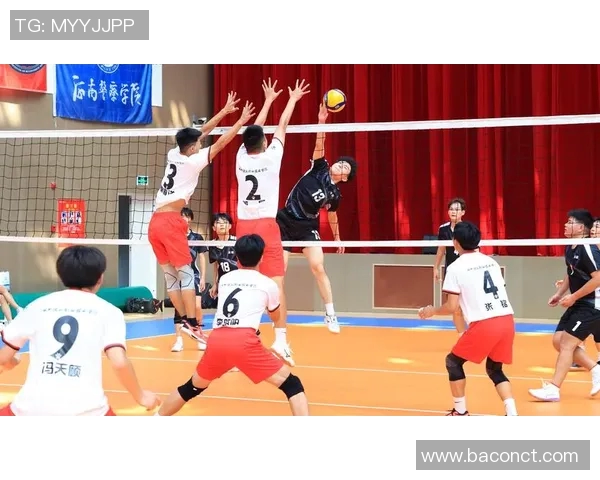 杭州排球队的奋斗与荣耀：一段不平凡的排球纪实之旅